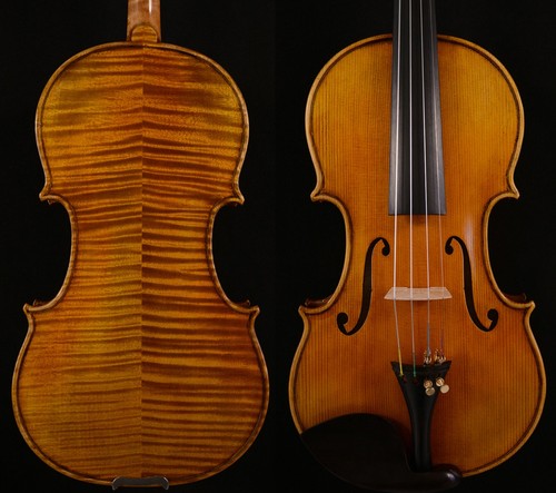 Master violin guarneri - violin, del
